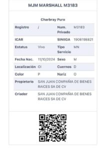 Datos del M3183