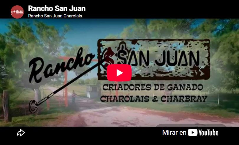 Vista previa de video de Rancho San Juan, criadores de ganado Charolais y Charbray, con el logotipo de la marca sobre la entrada del rancho.